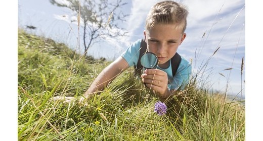 Join in the fun at Cheddar Caves this Half Term!